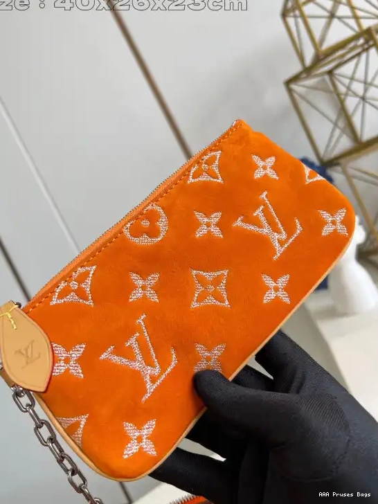 AAA Pruses Bags SPEEDY 40 Louis Vuitton 0609